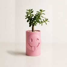 Bin1çeşit 3D Baskı Emoji Planter - Göz Kırpan Yüzlü Sukulent Saksısı-Pembe