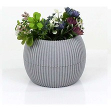 Bin1çeşit Mercan Saksı 2 Numara 0,35 Litre Su Hazneli Dekoratif Kaktüs Sukulent Saksı 11,8x9,2 cm