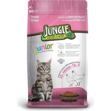 Jungle Yavru Kedi Maması Tavuklu 1,5 kg 1 Adet