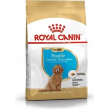Royal Canin Poodle Junior Yavru Köpek Maması 3 Kg Süper Premium İçerik ile Poodle Irkına Özel