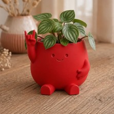 Bin1çeşit 3D Baskı Smiley Face Planter - Gülümseyen Karakterli Saksı-Kırmızı
