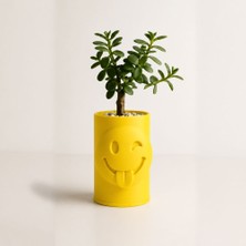 Bin1çeşit 3D Baskı Emoji Planter - Göz Kırpan Yüzlü Sukulent Saksısı-Sarı