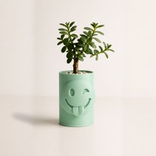 Bin1çeşit 3D Baskı Emoji Planter - Göz Kırpan Yüzlü Sukulent Saksısı-Mint