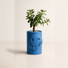 Bin1çeşit 3D Baskı Emoji Planter - Göz Kırpan Yüzlü Sukulent Saksısı-Mavi