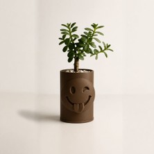 Bin1çeşit 3D Baskı Emoji Planter - Göz Kırpan Yüzlü Sukulent Saksısı-Kahverengi