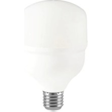 Cata CT-4330 25W/6400K LED Ampul (BEYAZ-12ADET)