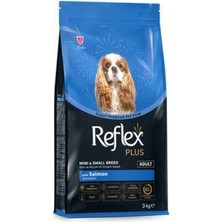 Bin1çeşit Mini Small Somonlu Küçük Irk Yetişkin Köpek Maması 3 kg