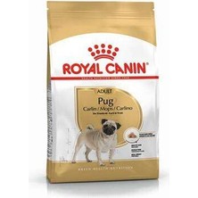 Bin1çeşit Pug Adult Yetişkin Köpek Maması 1,5 kg