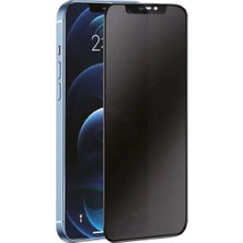 Bin1çeşit Galaxy S24 3D Antistatik Hayalet Cam Ekran Koruyucu