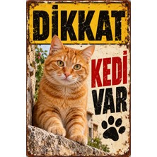 Lucena Dikkat Kedi Var Turuncu Kedi Retro Metal Duvar Tabelası Dekoratif Levha 15X20 cm