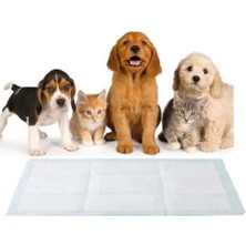 Medikalbim Kedi Köpek Çiş Pedi 60X90 cm 30' Lu Paket Yatak Koruyucu Serme