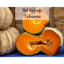 Zencefil Organik Bal Kabağı Tohumu 1 Paket Kabak Tohumu Kapalı Paket Tohum Bal Kabağı Tatlı Kabağı