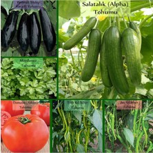 Zencefil Organik 6 Paket No9 Halep Karası Patlıcan Tohumu Salatalık Tohumu Tatlı Acı Kıl Biber Tohumu Domates Tohumu