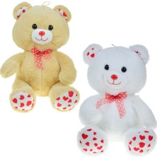 Halley Peluş 35 cm Patilen Kalpli Ayı PL62305