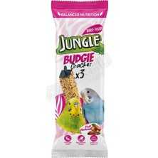 4 Adet Jungle Meyveli Muhabbet Kuşu Krakeri 3 Lü