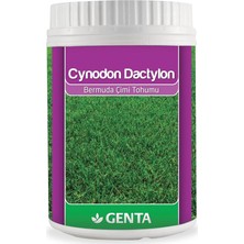 Fimer Cynodon Dactylon Bermuda Çim Tohumu 500 gr