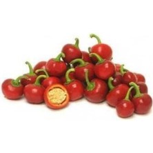 Fimer Dünyam Süper Paket 250 Adet Tohum Nadir Ithal Cherry Kiraz Biberi Tohumu Biber Tohumu