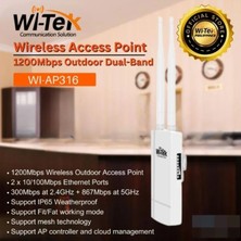 Wi-Tek WI-AP317 2.4G&5.8G 1200M Outdoor Wireless Access Point