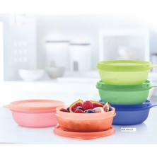 Fimer Şeker Kaplar 300 ml X5 Adet Kamp Yemek Saklama ve Kahvaltılık Kabı