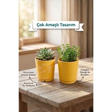 Fimer 2’li Seramik Saksı (Kalemlik,fırçalık,masa Organizeri) / Modern Dekoratif El Yapımı Tasarım (Sarı)