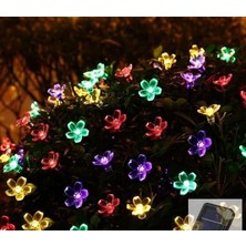 Fimer 30 Ledli Çiçekli Rgb Bahçe Aydınlatma Dekorasyon Güneş Enerjili