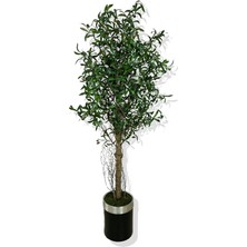 Fimer Zeytin Ağacı 180 cm