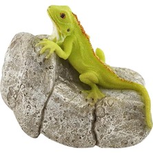 Fimer Collection Minyatür Peri Bahçesi ve Teraryum Kaya Heykeli Üzerinde Iguana