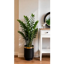 Fimer Metal Saksı, Mat Siyah ve Altın Detaylı Kenar, Modern Stil, Silindirik, Iç Mekan, 23X21 cm No:25