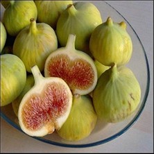 Fimer Yaş Aydın Sarı Lob Incir Fidanı, Torbada