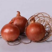 Fimer Adet Natural Soğan Tohumu