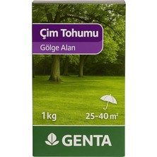 Prestige Gölge Alan Çim Tohumu 1 kg