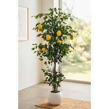 Fimer Limonlu Yapay Limon Ağacı 180 cm Küre Saksılı