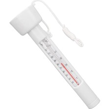 Ahes Plastik Havuz Termometresi