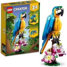 Ahes Creator Egzotik Papağan 31136
