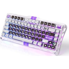 Ahes Mercury V75 He Hall Effect Manyetik Switch Gaming Klavye, Hot-Swappable, Rapid Trigger, 8000Hz, 0.125MS Ultra Düşük Gecikme, Kablolu, Rgb Işıklı, Ingilizce Q, Mecha Gray