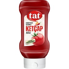Ahes Ketcap Acı 390 gr