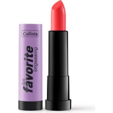 Ahes Lips Favorite Longwearing Lipstick Kalıcı Ruj 304 Tangerino, Pembe