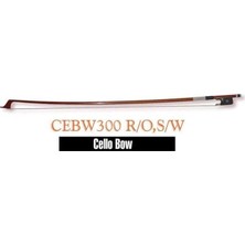 Ahes CEBW300