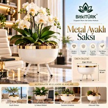 BitkiTÜRK Metal Ayaklı Saksı Organizer Beyaz Gold 24 cm Dekoratif Saksı Salon Balkon Banyo Masaüstü
