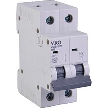 Ahes 4VTB-2B40 Otomatik Sigorta 4,5ka B Tipi 2 Kutup 40A
