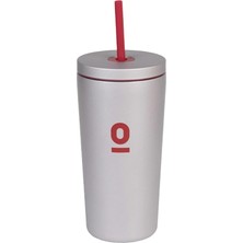 Ahes Paslanmaz Çelik Pipetli Termos, 500 Ml, Gri, Model No:94