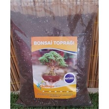 Ahes Toprağı 3 Lt Ithal Torf Perlit Kırmızı Pomza Lav Taşı Karışımlı Özel Bonsai Toprak