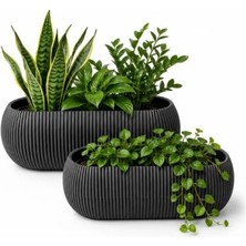 Ahes Uzun Kaktüs Sukulent ve Çiçek Saksısı, 1 Takım, Antrasit, Plastik, Dikdörtgen, 25-30 cm
