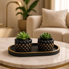 Ahes Saksı Seti Siyah Gold – 2’li Mini Sukulent Saksı ve Dekoratif Tepsi Seti, Masa ve Sehpa Için Dekoratif Bitki Saksısı
