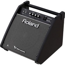 Ahes PM-100 80W Davul Monitörü