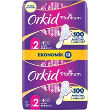 Ahes Platinum Hijyenik Ped Uzun (Boy 2) Ekonomik Paket 12 Adet Ped