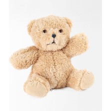 Ahes cm Pelüş Ayı, 20 cm Teddy Bear, Yumuşak Ayıcık, Sevgiliye Hediye,ayı Teddy,peluş,plush Toys,oturan Ayı,ofis Hediyesi