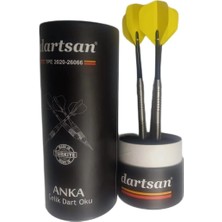 Ahes Ilk Türk Malı Çelik Dart Oku 22GR