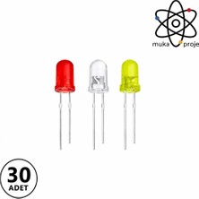 Muka Proje Mantar LED Diyot Lamba 8 mm ,Mini Mantar LED Lamba Deney Bilim Proje 30 Lu Paket