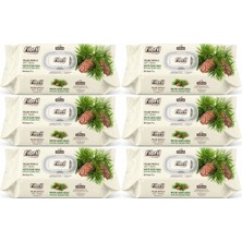 Fibril Islak Havlu Mendil 90 Yaprak Mistik Sedir Ağacı Plastik Kapaklı (6 Lı Set) 540 Yaprak